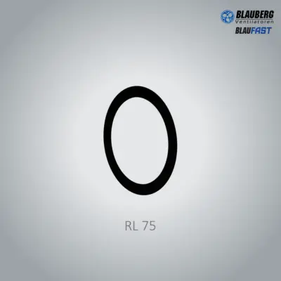 BlauFast 75 - RL75 Sealing Ring 10x