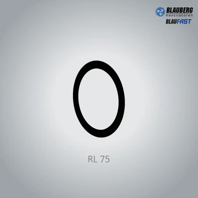 BlauFast 75 - RL75 Sealing Ring 10x