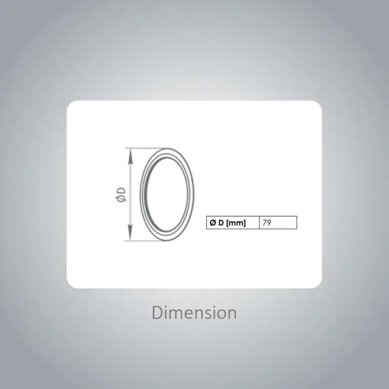 BlauFast 75 - RL75 Sealing Ring 10x - Image 2